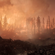 Illustration for article titled iBattlefield 1/is Best Expansion Is Currently Freeem/em